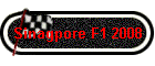 Sinagpore F1 2008